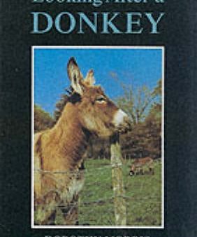 Looking After a Donkey Fashion