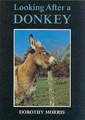 Looking After a Donkey Fashion